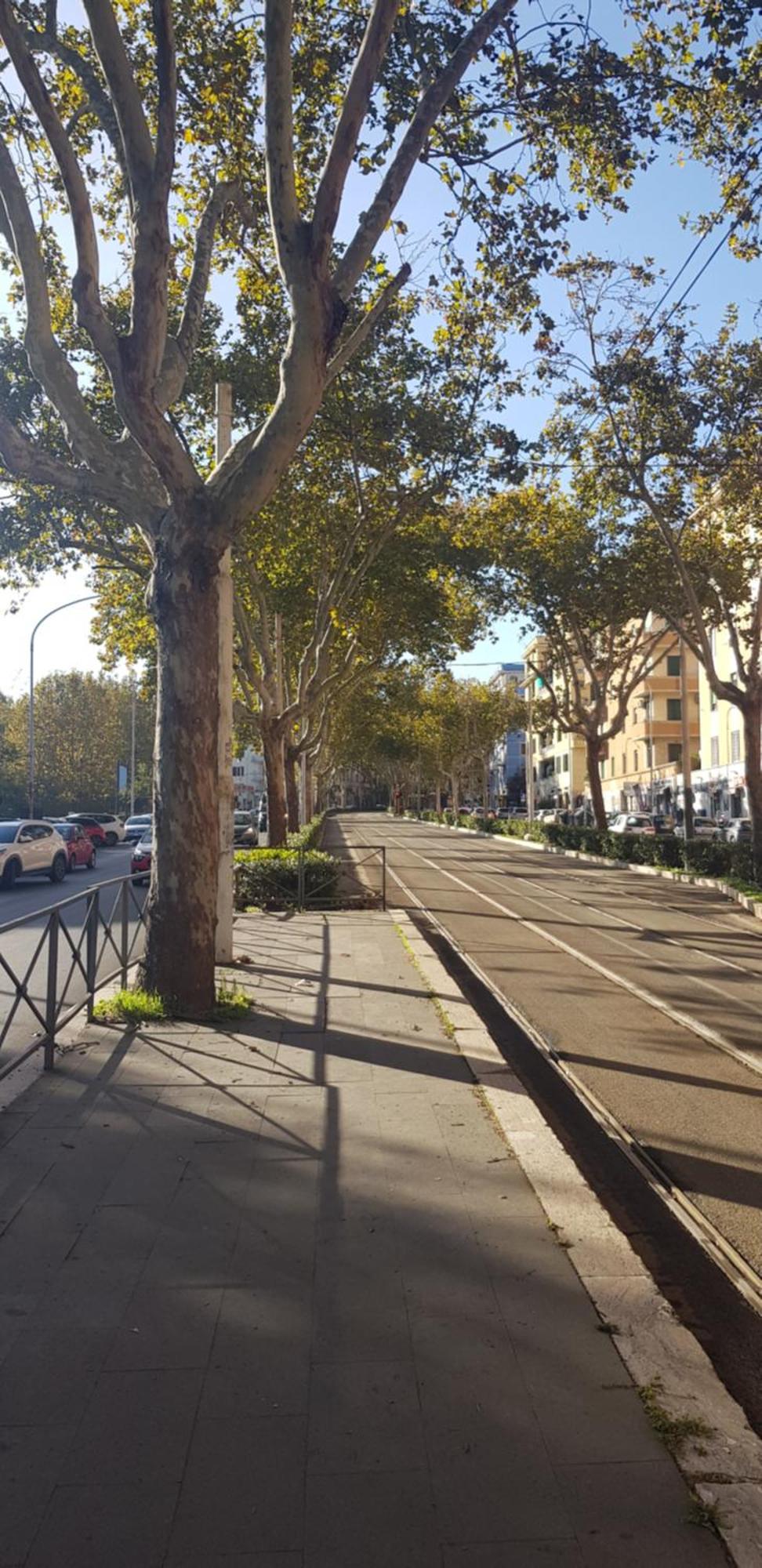 Trastevere Residenze ローマ エクステリア 写真